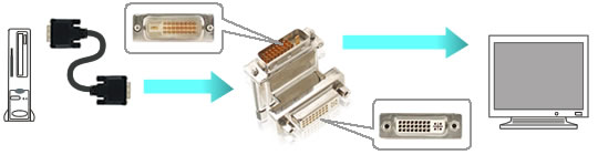 DVI-IFDM-RAイメージ1