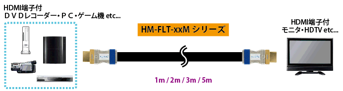 HM-FLT-1M接続図