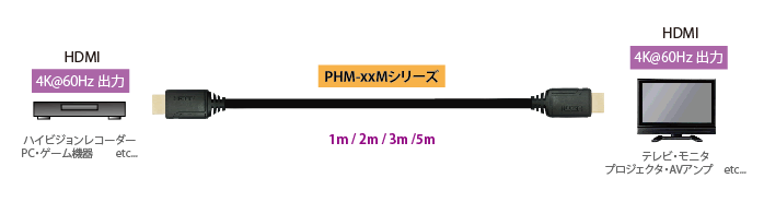 PHM-1M接続図