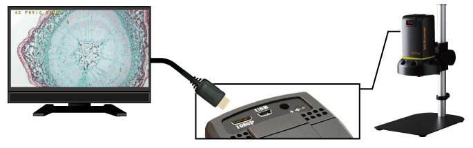HDMI画面に接続