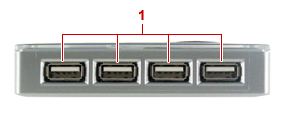 USB-EX50H4　ローカル背面